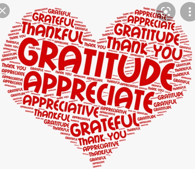 Gratitude for the Ward 4 community